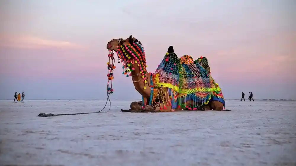Great Rann of Kutch