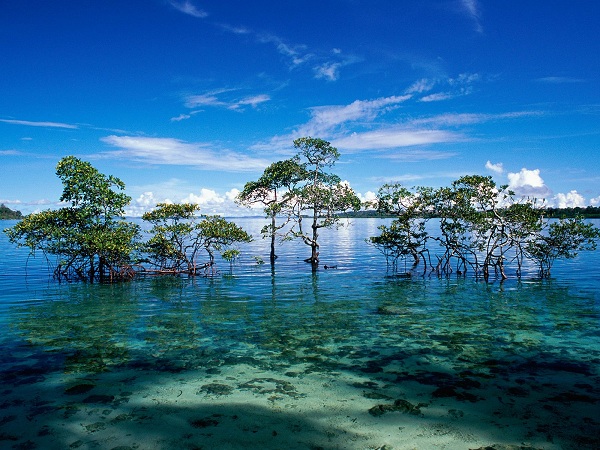 Havelock Island