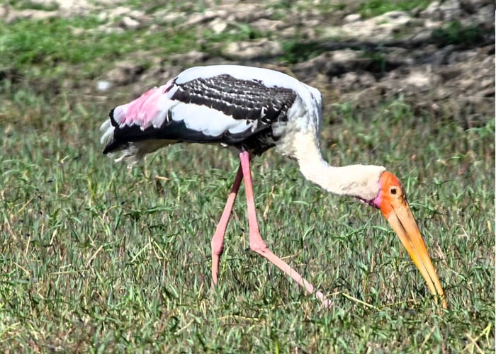 Keoladeo National Park