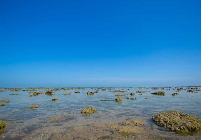 Marine National Park