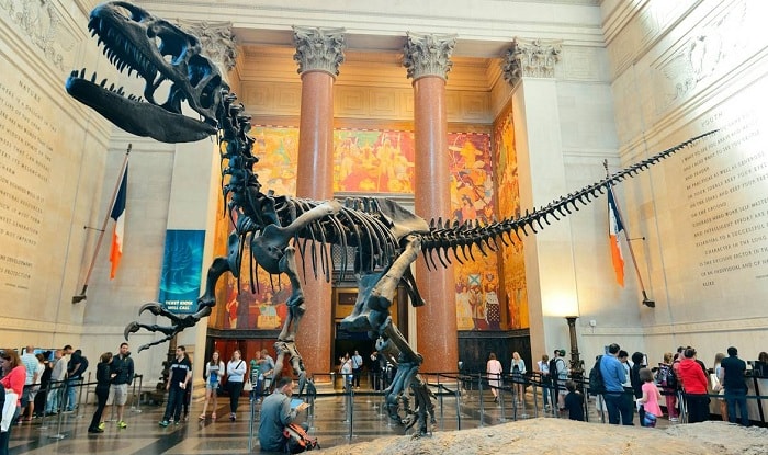 Museum of Natural History