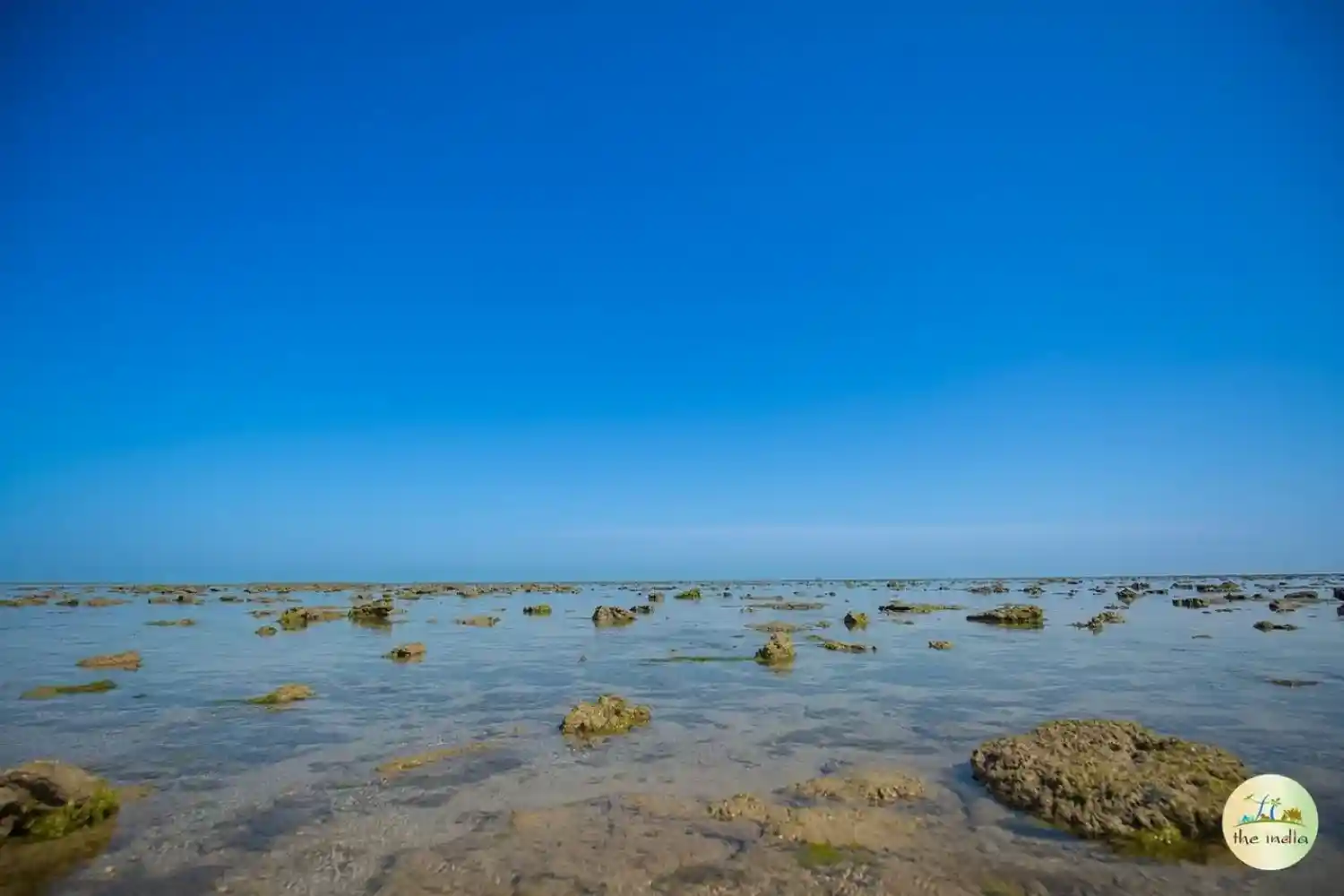 Narara & Pirotan Island