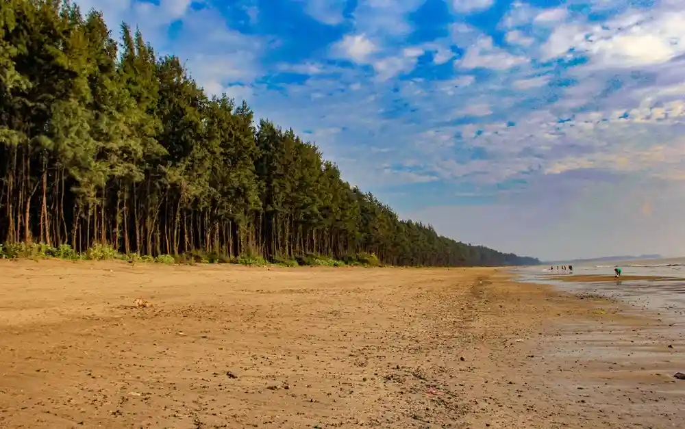 Nargol Beach