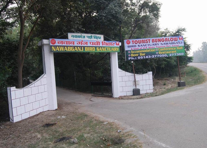 Nawabganj Bird Sanctuary