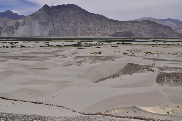 Nubra Sand Dune Park