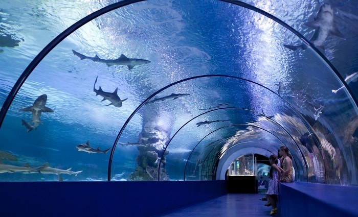 Osaka Aquarium Kaiyukan