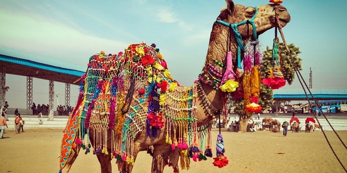 Pushkar Camel Fair