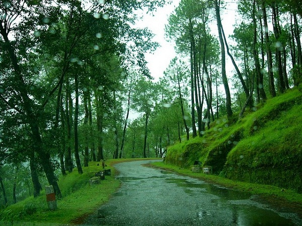 Ranikhet