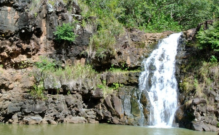 Waimea Arboretum and Botanical Gardens