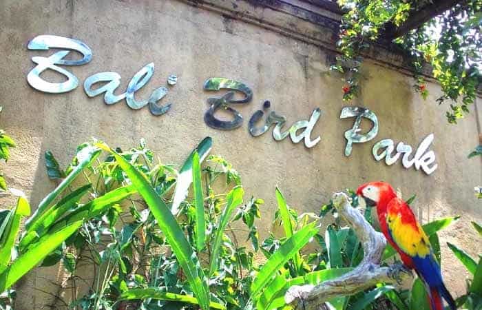 Bali Bird Park