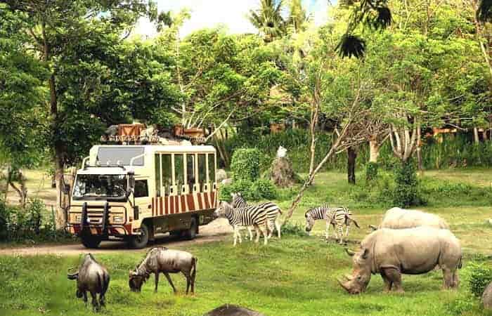 Bali Safari And Marine Park