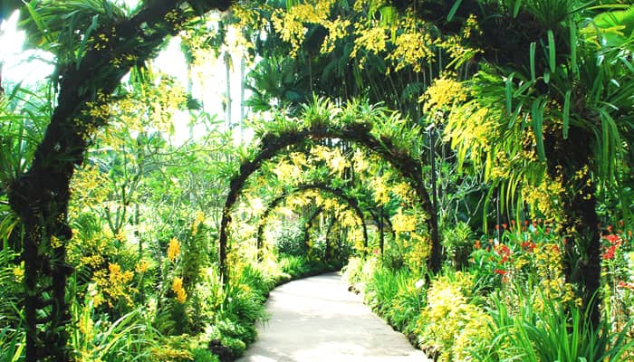 Singapore Botanic Garden