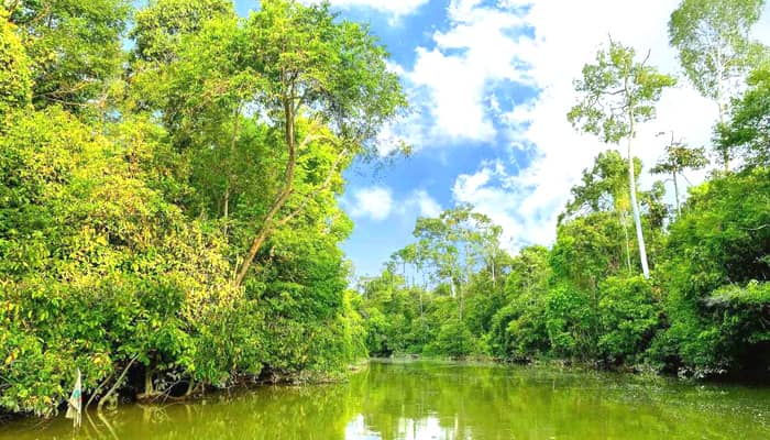 Sungai Kinabatangan