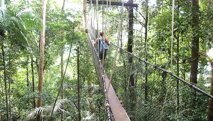 Taman Negara