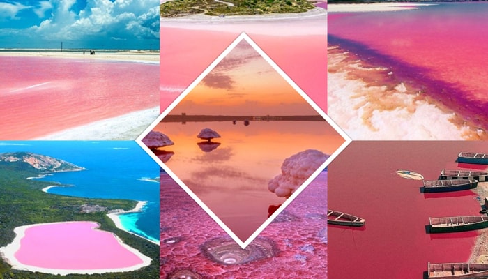 10 Pink Lakes From Around the World - WorldAtlas