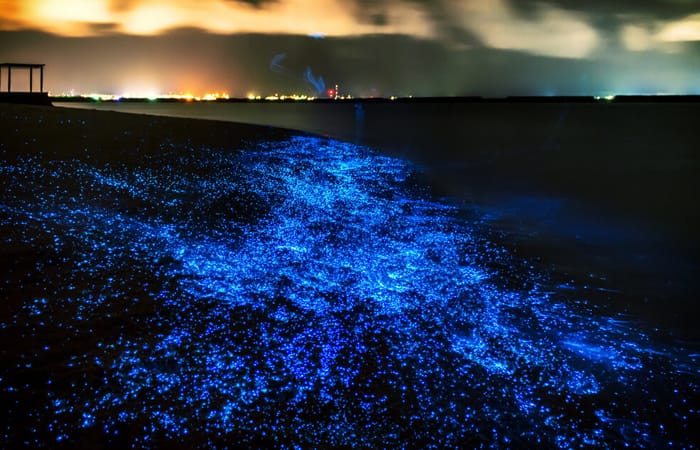 Glowing Beach, Maldives