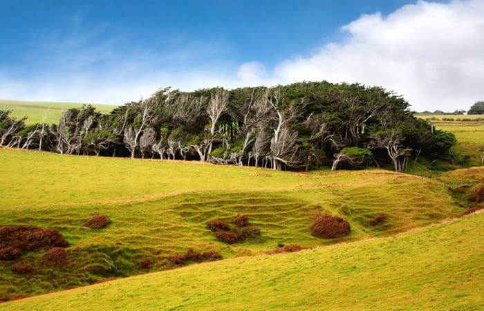 Slope Point, New Zealand