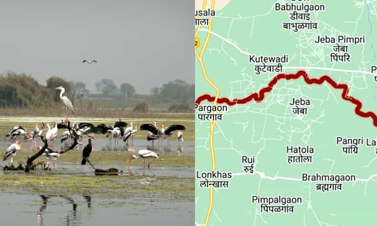 Manjira River - Longest Rivers in India