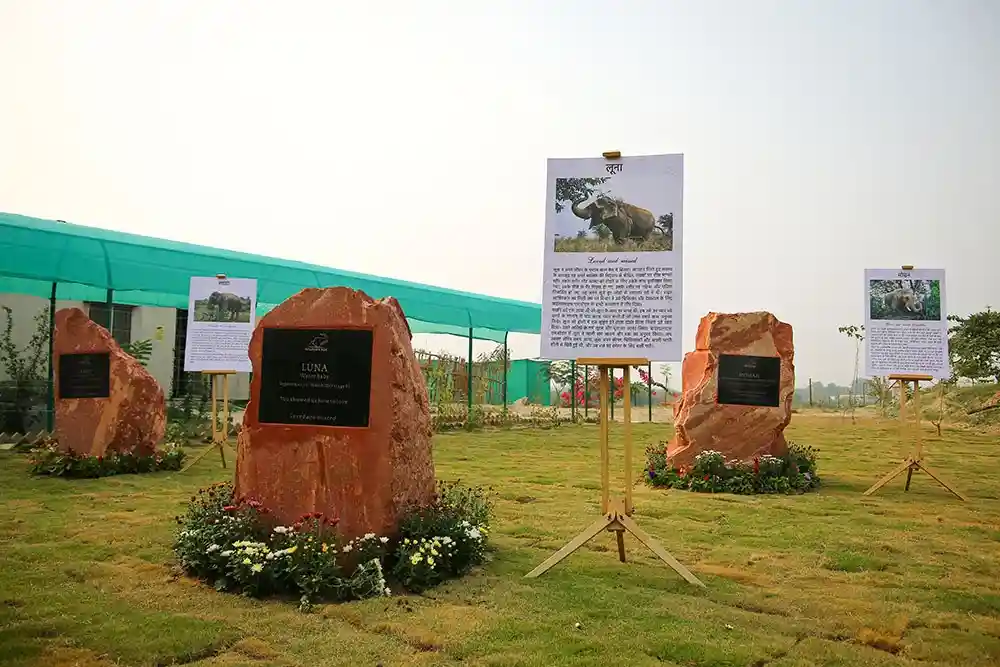 Wildlife SOS Elephant Conservation and Care Centre