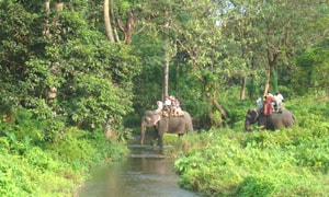 Sundarban Tours