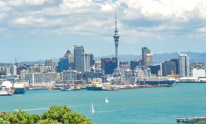 Auckland Tours