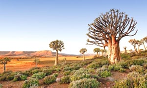 Northern Cape Tours