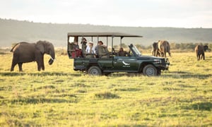 Tanzania Tours