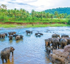 Kegalle