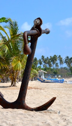 Phi Phi Island