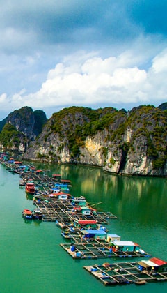 Hai Phong