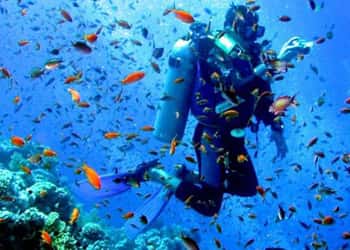 Andaman Scuba Diving Tour Package