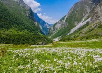 Valley of Flowers Tour Package