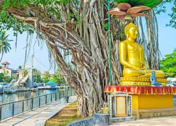 Fascinating Sri Lanka Tour Package