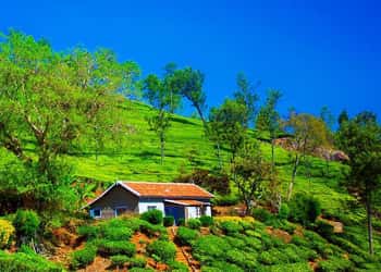 South India Hill Stations Tour Package