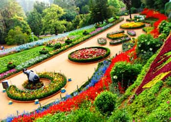 Ooty Kodaikanal Tour Package