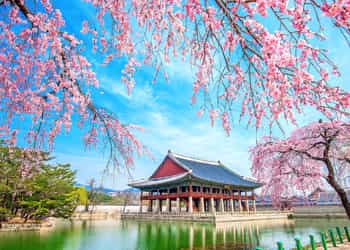 Japan Korea Taiwan Tour Package