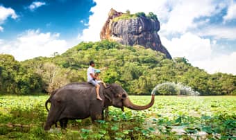 Sri Lanka Honeymoon Tour Package