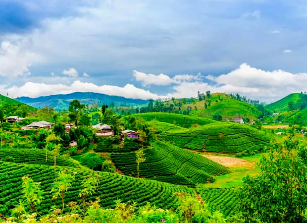 Darjeeling Travel HD