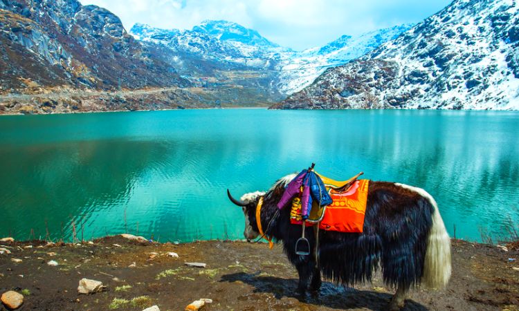 Eastern Himalaya Tour Package