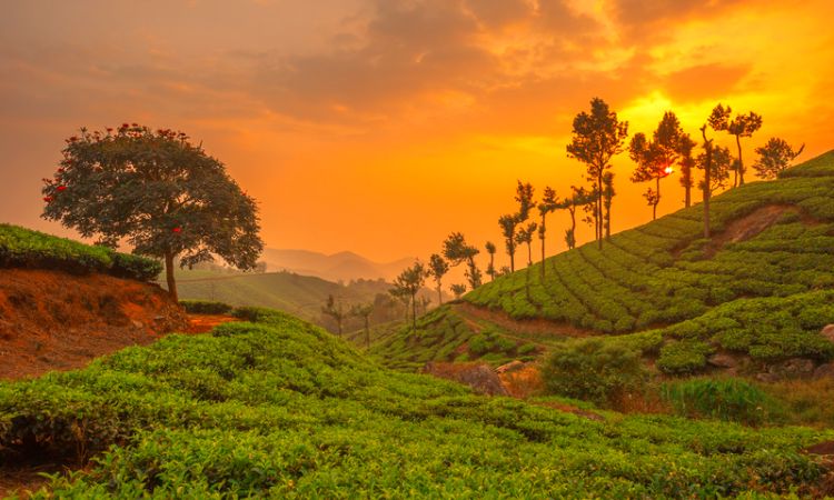 Kerala Kanyakumari Tour Package