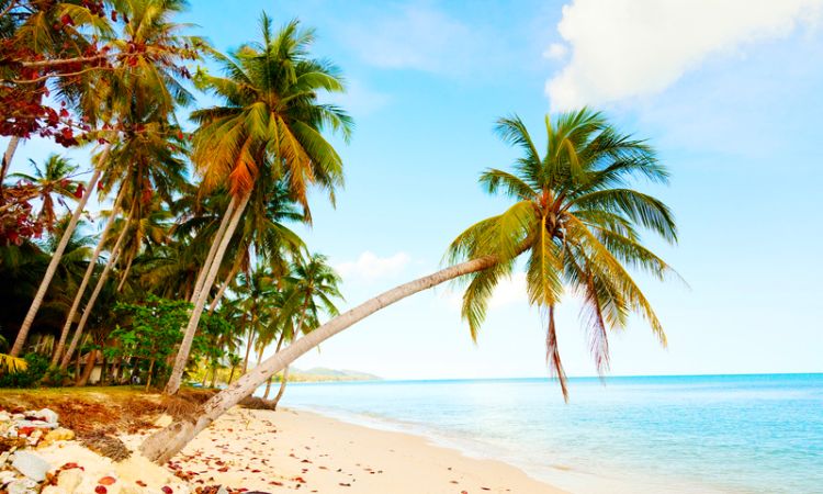 Koh Samui Honeymoon Tour Package Koh Samui Honeymoon Tour Package