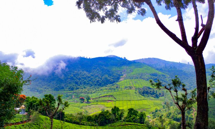 Ooty Coonoor Tour Package