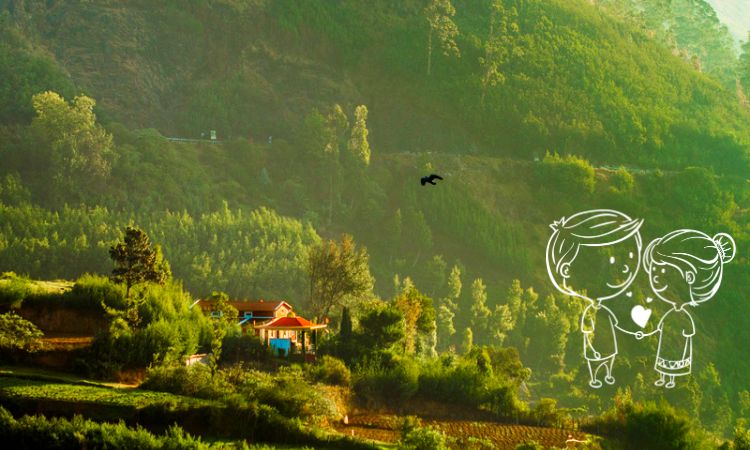 Ooty Honeymoon Tour Package Ooty Honeymoon Tour Package