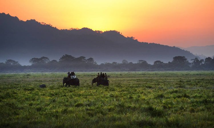 North East India Wildlife Tour Package North East India Wildlife Tour Package