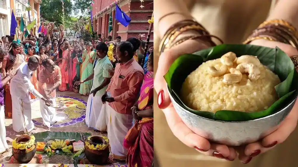 Thai Pongal