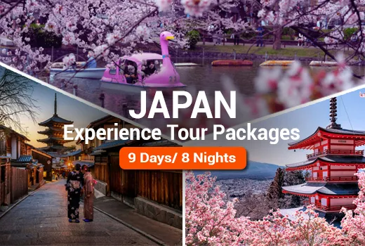 Japan Experience Tour Packages