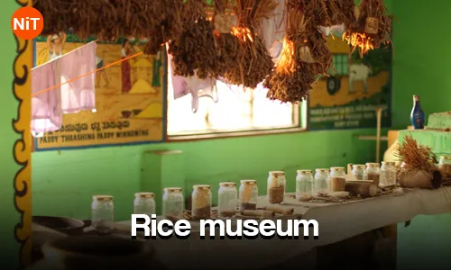 1.3 Rice museum