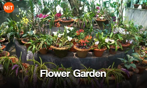 1.5 Flower garden