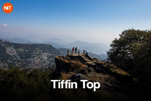 2.1 Tiffin Top