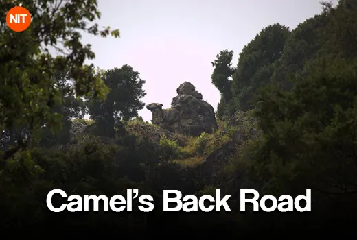 2.5-Camels-Back-Road